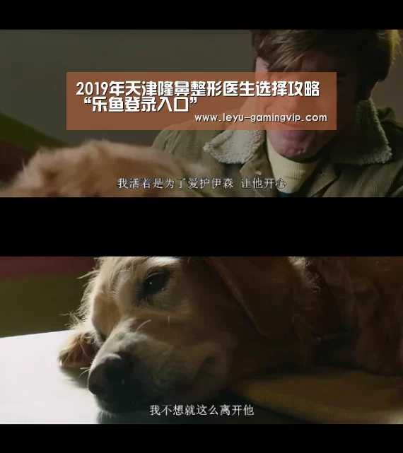乐鱼官网